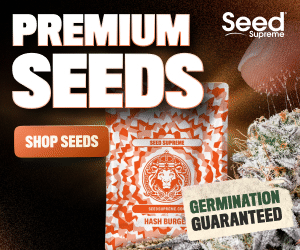 Seed Supreme - BOGOs of the Month
